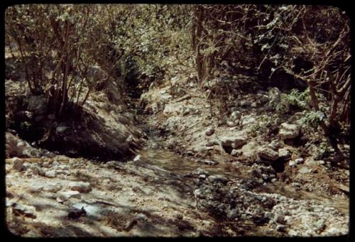 One of six streams at Sesfontein