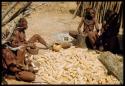 Women husking corn from their own crop