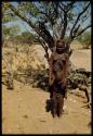 Woman standing with a child in front of a tree