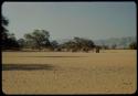 Huts, surrounded by bare ground where the grass has been eaten away by goats