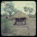 Thatched roof on poles