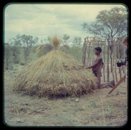 Ju/'hoan man building a Bantu-style house, John Marshall filming it