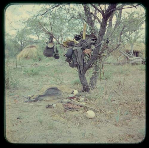 Belongings hanging from a tree, with skerms in the background