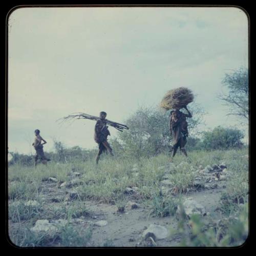 Woman carrying a bundle of grass and a baby, followed by Khuan//a carrying poles and a baby, with a boy behind them
