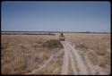 Dodge truck, seen from a distance