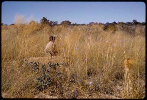 Elizabeth Marshall Thomas sitting in the grass