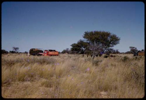 Camp and Expedition trucks, seen from a distance