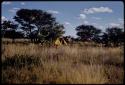 Camp, seen from a distance