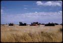 Marshall Expedition trucks driving in the grass