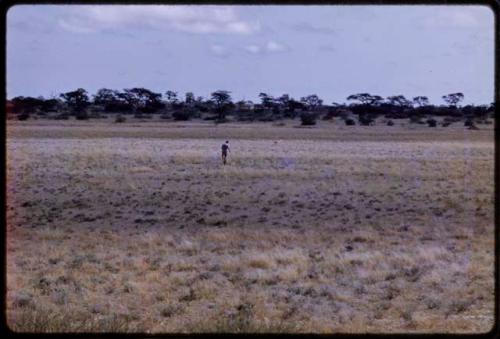 William Donnellan chasing a springbok, seen from a distance