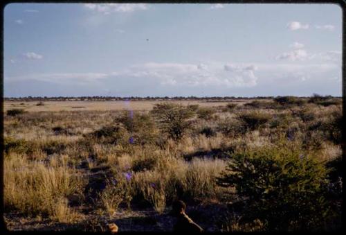 Landscape, Manyane Pan