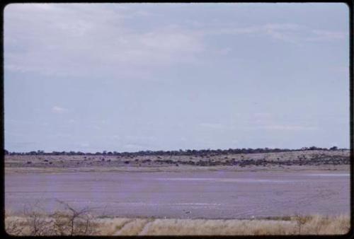 Springbok, seen in the distance