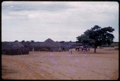 Headman walking outside a house