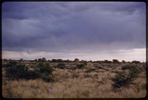 Landscape, storm clouds