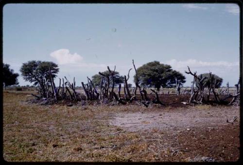 Old abandoned kraal