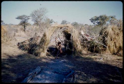 Skerm: Bau (Bo's wife) sitting inside their skerm, which was built primarily for shade