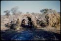 Skerm: Woman standing inside Bo's skerm, which was built primarily for shade