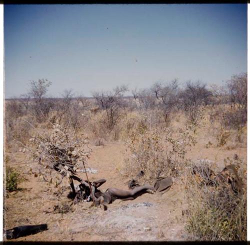 Skerm: Person lying on the ground in a dwelling place where unmarried boys live together (half of stereoview 2001.29.6047)