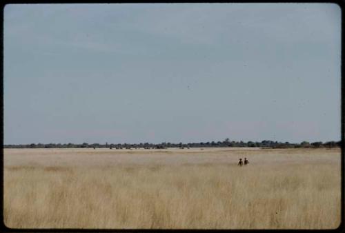 Hunting: Two hunters walking through grass, with a wildebeest herd in the distance