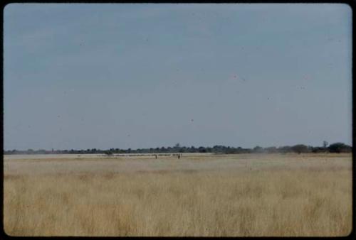 Hunting: Two hunters with a wildebeest herd in the distance