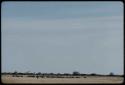 Hunting: Two hunters with a wildebeest herd in the distance