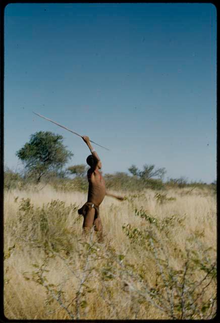 Spear, Throwing: Man throwing an assegai, view from the side