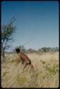 Spear, Throwing: Man throwing an assegai, view from behind