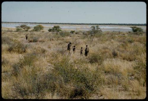 Walking: Women walking through the werft to a waterhole, with Gautscha Pan in the distance