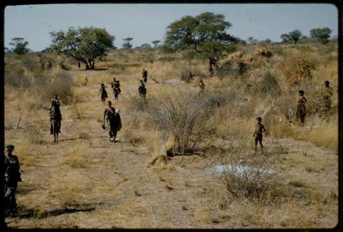 Walking: Women walking down from the werft toward a waterhole, with a tree near a dance circle, "Gao Helmet's" werft and ≠Toma's werft in the background