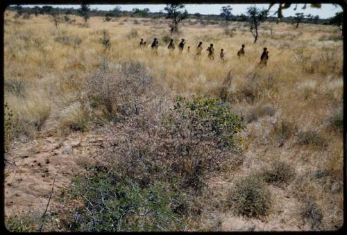 Walking: Group of women walking in line through grass, distant view