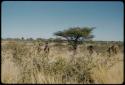 Walking: Group of women gathering in grass and brush