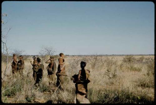 Walking: Group of women, a gathering party, walking in line through grass, view from behind