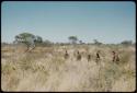 Walking: Group of women, a gathering party, walking in line through grass, distant view