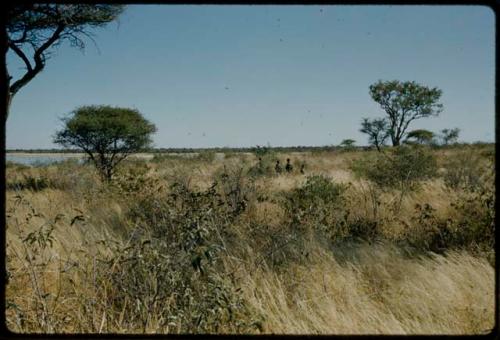 Walking: Women walking through brush and grass, with a pan filled with water in the distance