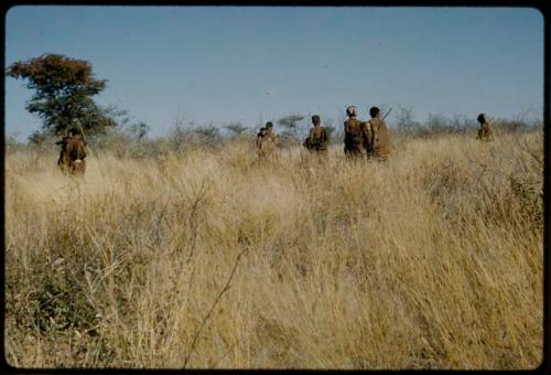 Walking: Group of women gathering, view from behind