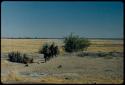 Water: Women walking toward a waterhole, with Gautscha Pan filled with a little water in the distance