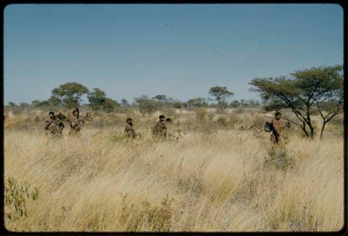 Water: "/Qui Navel" carrying an Ovambo pot on a stick, walking with four women to a waterhole