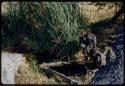 Water Hole: Man and a woman filling ostrich egg shells at a waterhole