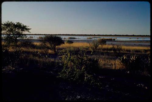 Water Hole: Gautscha Pan filled with water, distant view