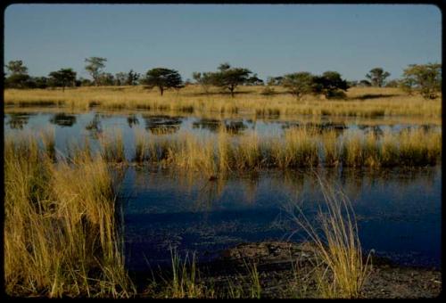 Water Hole: Small pan filled with water