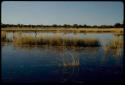 Water Hole: Boys walking through water in a pan