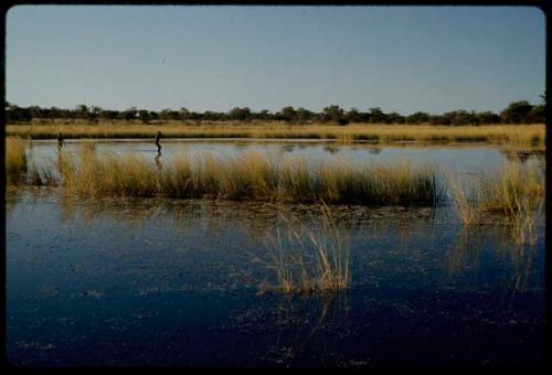 Water Hole: Boys walking through water in a pan