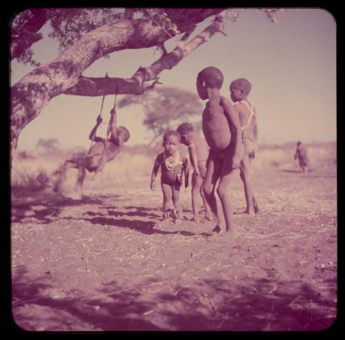 Children, Groups, Play: /Gaishay, "Little ≠Gao" and two other boys dancing under a tree, with a boy on a naqm (swing) behind them