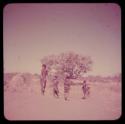 Children, Groups, Play: Girls playing Tamah n!o’an (the ball game) on a termite mound