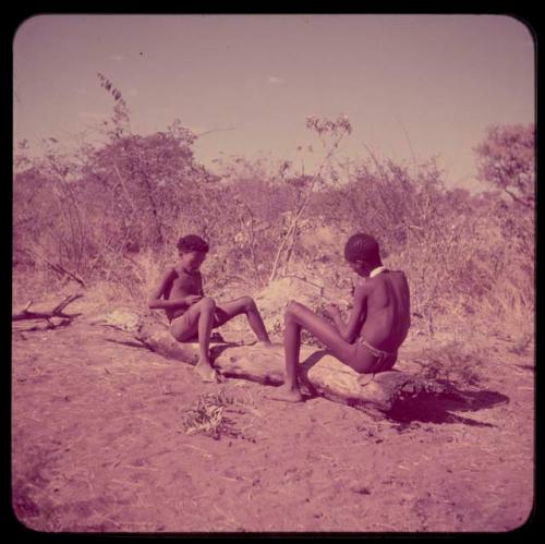 Children, Toys, Playthings: /Qui ("/Gao Music's" son) and /Gaishay ("Gao Medicine's" son) sitting on a log, peeling sticks for the stick game