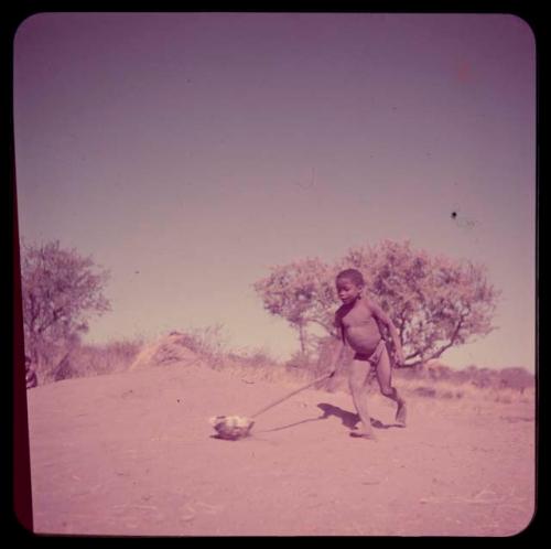 Children, Toys, Playthings: /Gaishay (≠Toma's son) pushing a toy car made from a tortoise shell