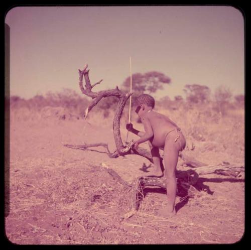 Children, Toys, Playthings: Boy holding a peeled stick to use in the stick game