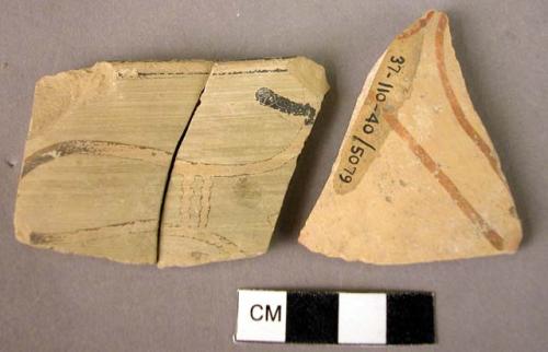 5 potsherds - conventionalized naturalistic patterns