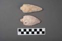 2 flint arrowheads