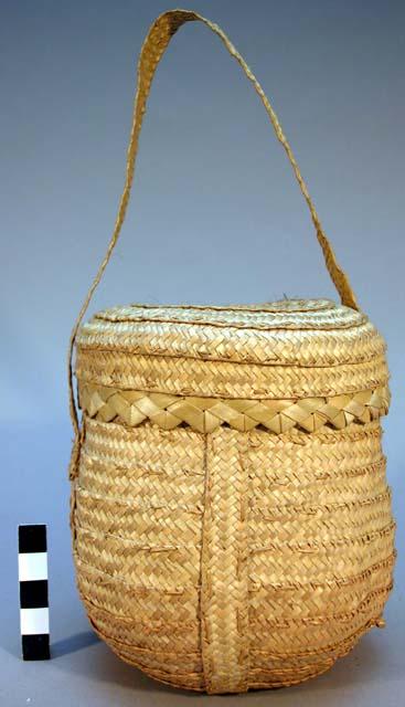 Basket made from palm leaf, thrinax argentia
